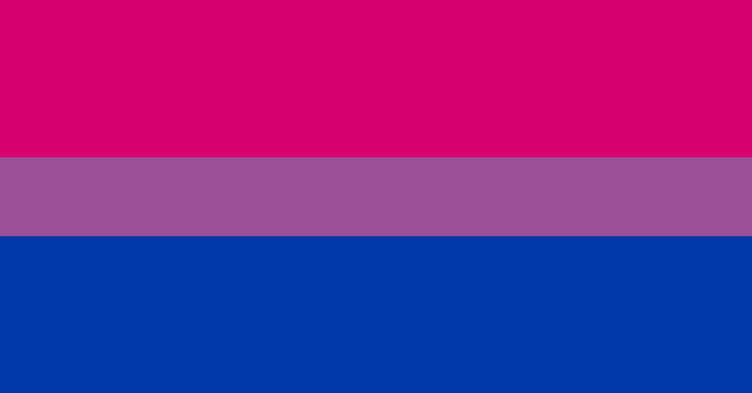 Marche pour la journée de la bisexualité