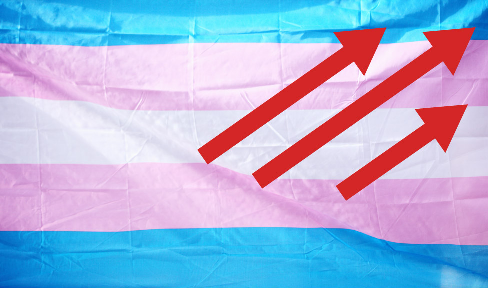 Journée du souvenir trans, combattre les préjugés et les discriminations avec les droits !