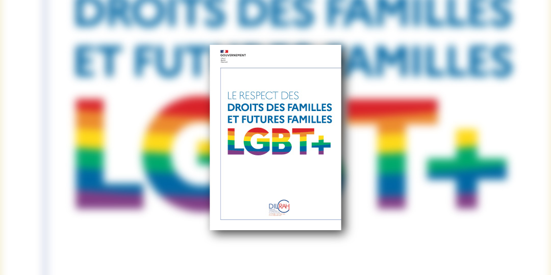 Le guide des droits LGBT+ de la Dilcrah : outil de synthèse pertinent, mais qui démontre les retards de la France…