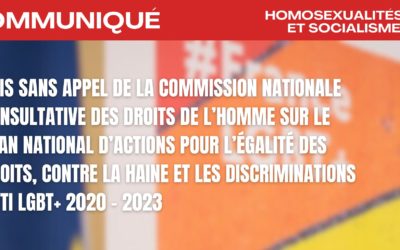 Avis sans appel de la Commission Nationale Consultative des Droits de l’Homme (CNDCH) sur le plan national d’actions pour l’égalité des droits, contre la haine et les discriminations anti LGBT+ 2020 – 2023