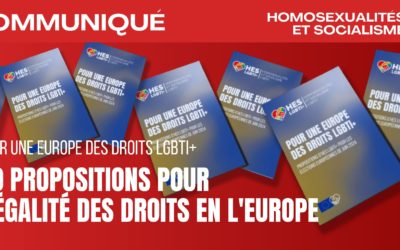 Pour une Europe des droits LGBTI+ : HES publie 40 propositions pour les élections européennes de juin 2024
