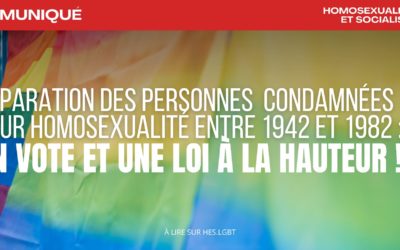 Proposition de loi portant réparation des personnes condamnées pour homosexualité entre 1942 et 1982 : un  vote et une loi à la hauteur !