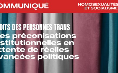 Droits des personnes trans : des préconisations institutionnelles en attente de réelles avancées politiques